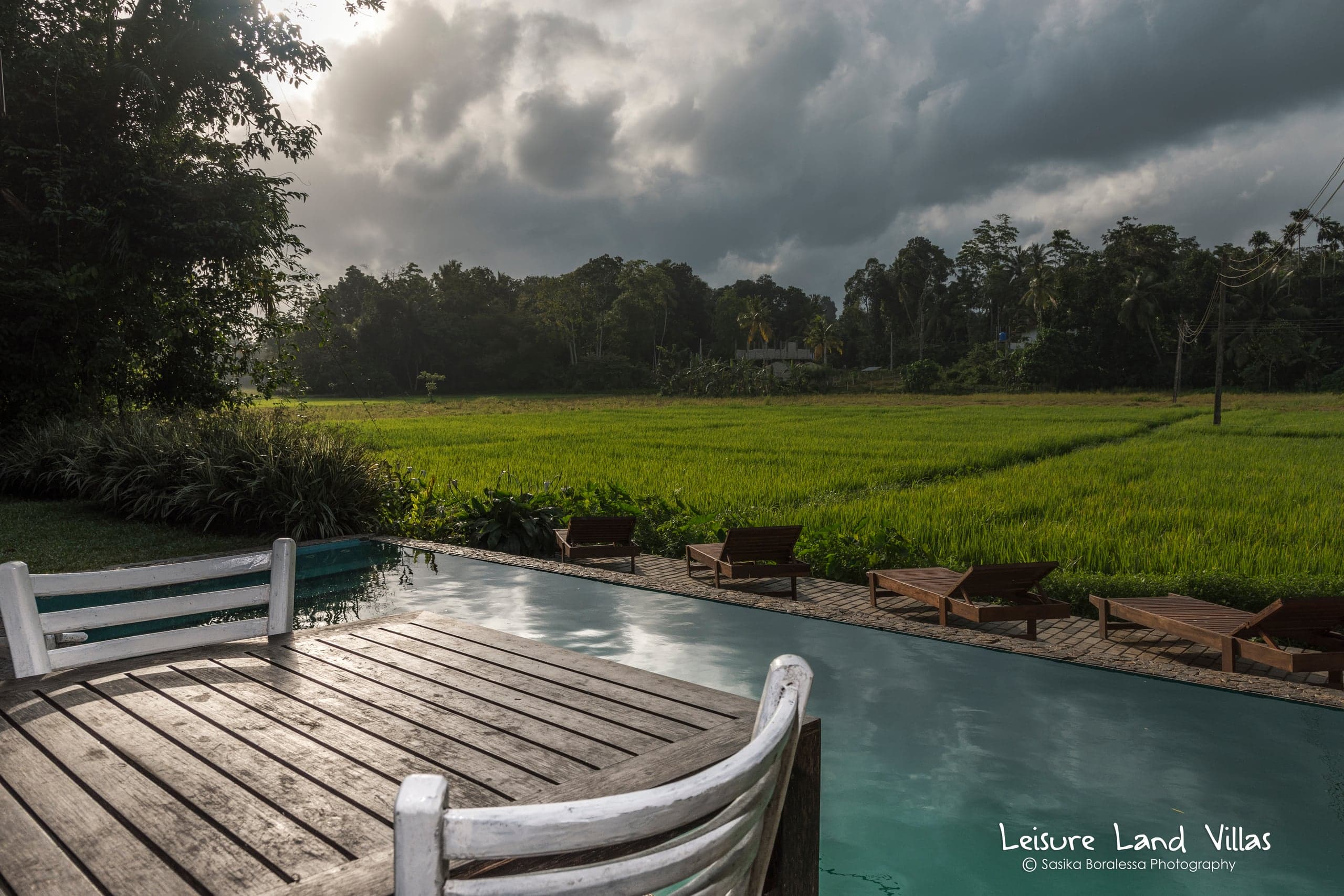 Pool view room, pool and paddy at Leisure Land, Galle