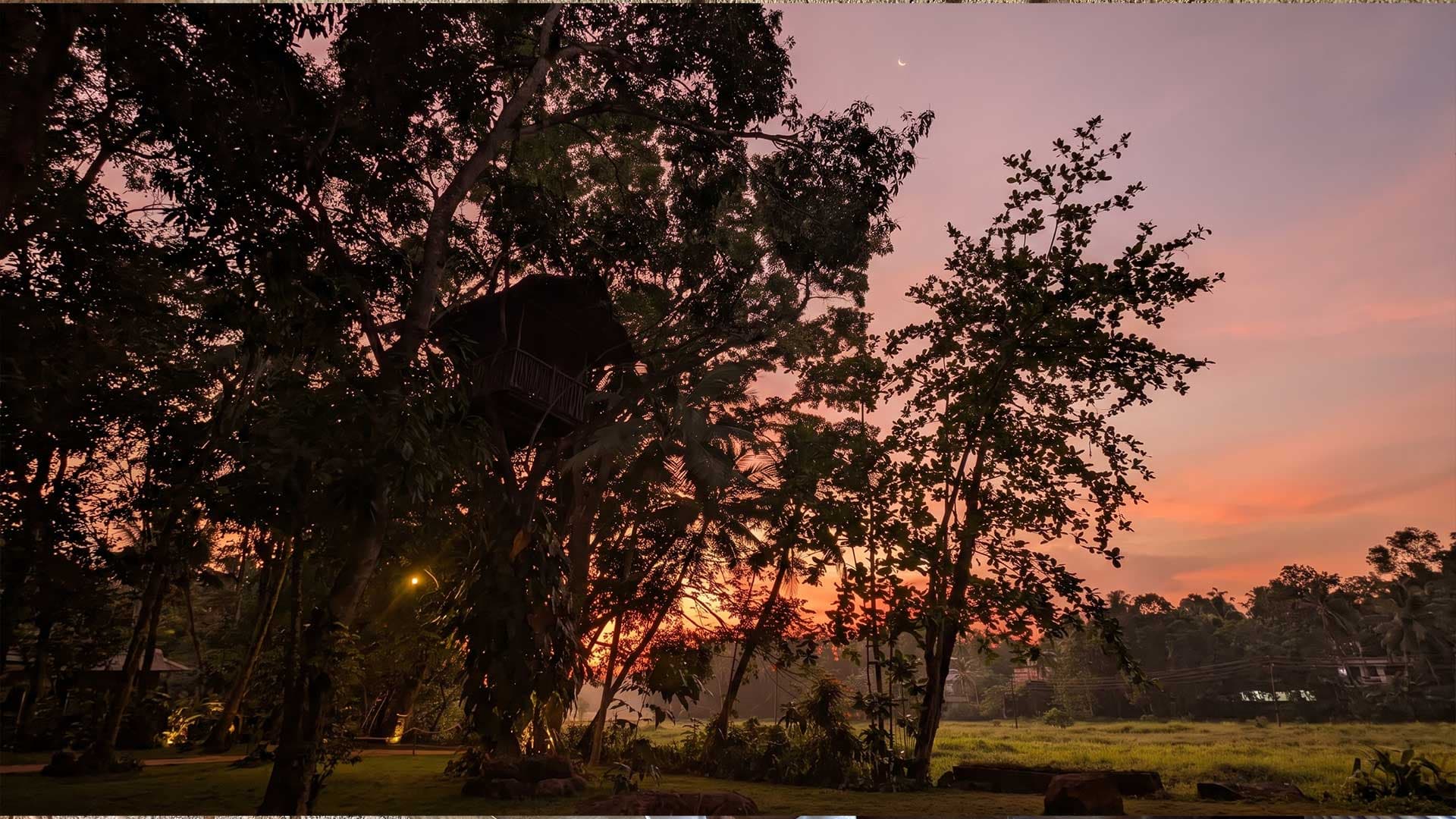Sunset over the paddy fields at Leisure Land, Galle