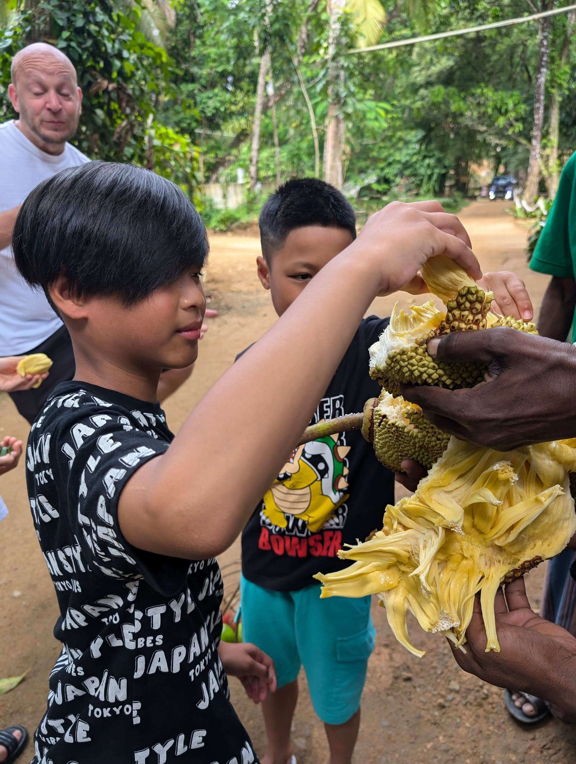 A jackfruit, opened by hand at Leisure Land, Galle