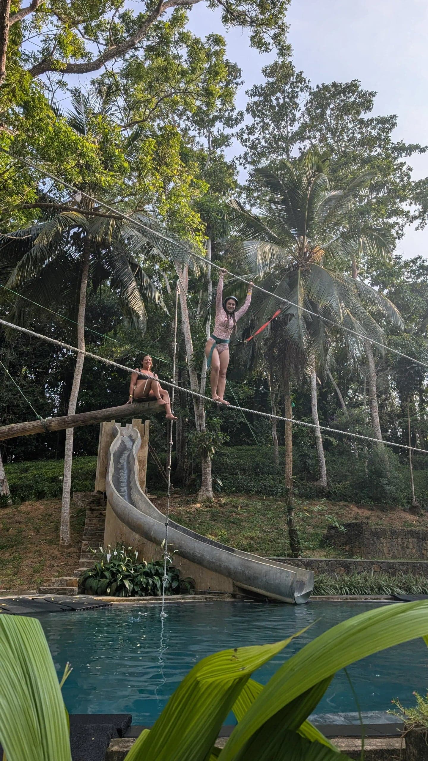 A giant tree in the jungle canopy at Leisure Land, Galle