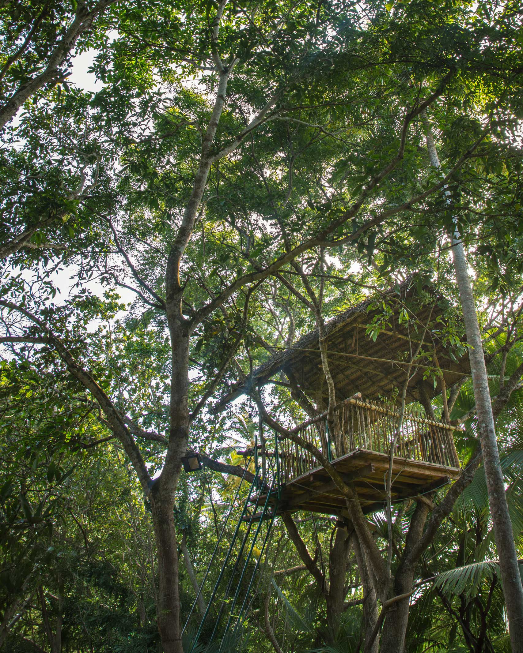 Up in the tree house at Leisure Land, Galle