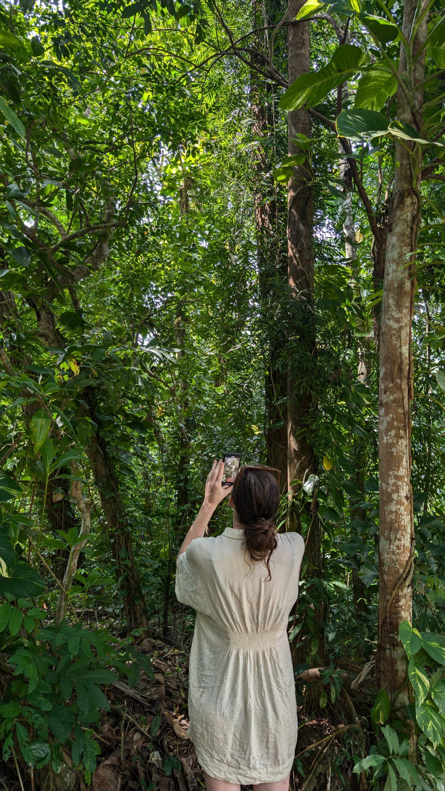 Wandering the jungle with a camera at Leisure Land, Galle